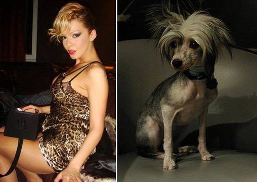 Забавни снимки на фолк певици, които приличат на кучета!