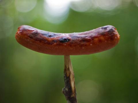 Пролетно почистване на… организма