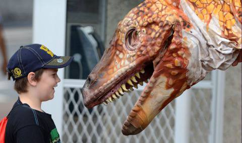 Зад изчезването на динозаврите стои комета