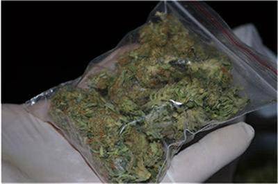 Откриха марихуана на улица „Сполука“, арестуваха четирима