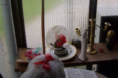 Къщата на баба Ванга в Рупите отваря врати. След 17 години