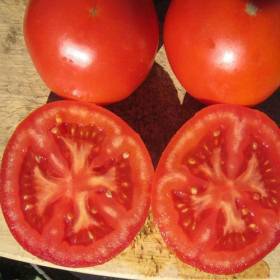 Амарал (Amaral)