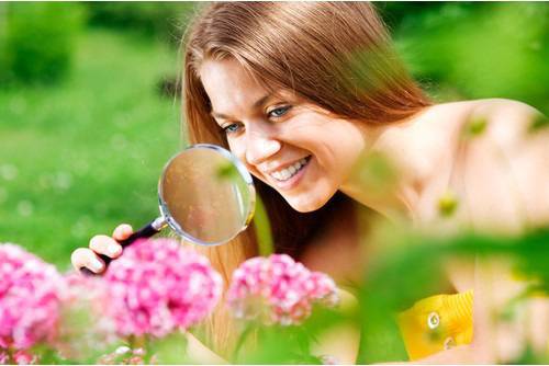 На война срещу листните въшки