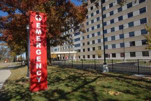 Италия разреши спорно лечение със стволови клетки