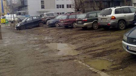 Кал в центъра на София