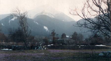 Спомени за пролетния минзухар