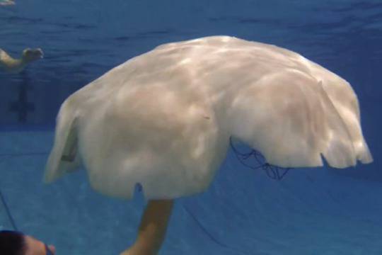 Разработиха медуза-робот на име Cyro