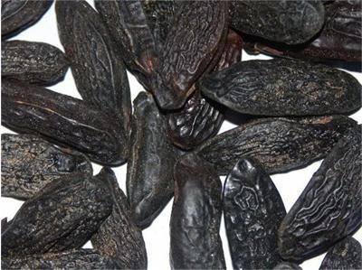 Тонка боб – дървото на богатството и късмета