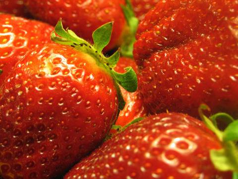 Градинари отглеждат ягоди и домати в Арктика