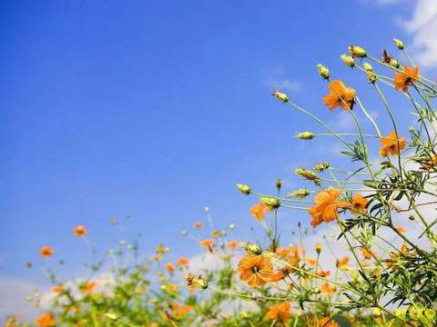 1 април започва като лято