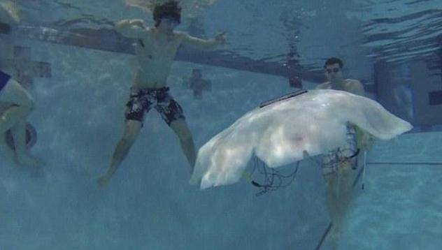 Медуза-робот ще помага на военните (видео и снимки)