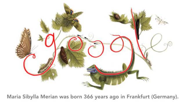 Мария Сибила Мериан – метаморфоза на пеперудата