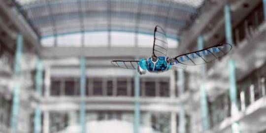 Вижте робот как лети като водно конче (видео)