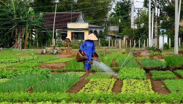 Започва инициативата „Информационни дни за биоземеделие”