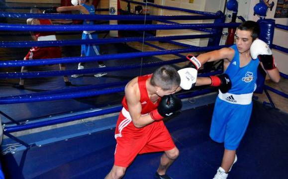Една година отбелязва с турнир Боксов клуб „Левски София Запад“