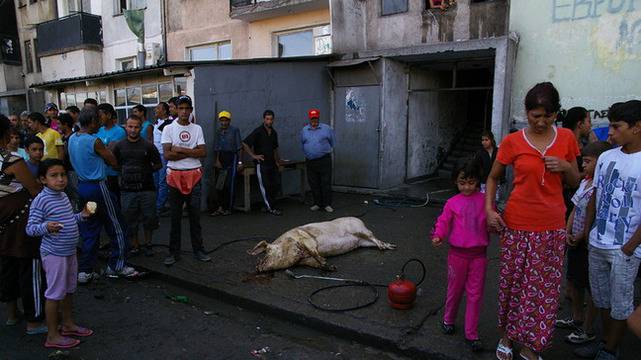 Къпят цигани заради празника