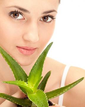 Какво представлява балсамът от алое вера?