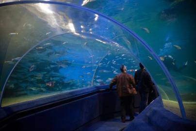 Зоокът за милиони строи Пловдив