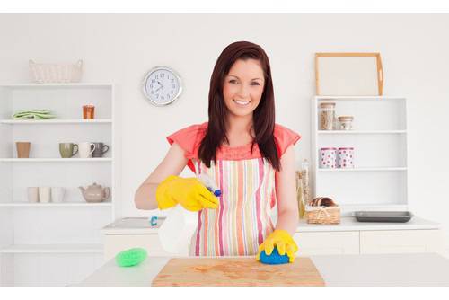 Мисия „Да дезинфекцираме дома“