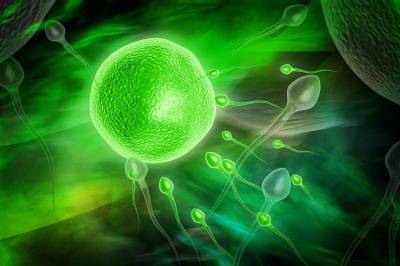 Нов метод за съхранение на яйцеклетки