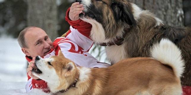 Кучето от Борисов пребори Владимир Путин