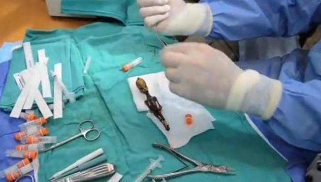 Чилийци откриха истинско извънземно (видео)