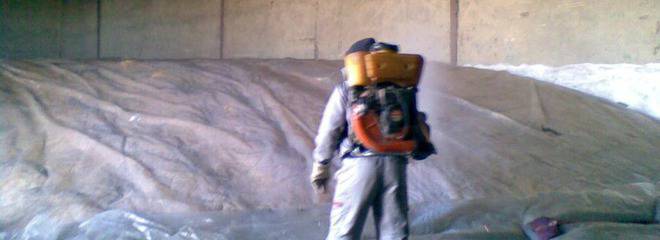 Начало – „Бул Агро Контрол 1“ ЕООД – фумигация, дезинсекция, дератизация, дезинфекция.