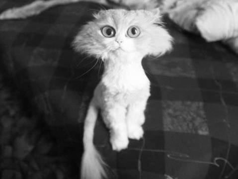 Това са най-гледаните снимки в интернет