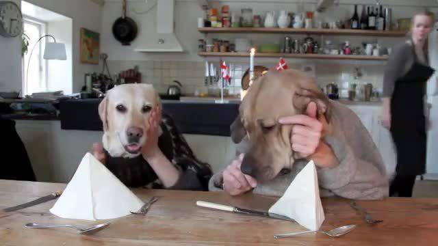 Фотомонтажи – Кучета с ръце на хора вечерят на масата /(смях)