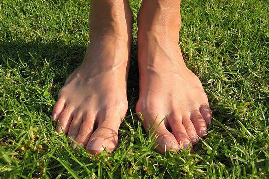 Какво да правим, ако ни нападне кърлеж