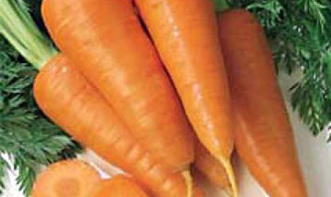 Морковите срещу рака на простатата