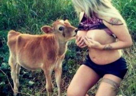 Млада моделка накърми теленце