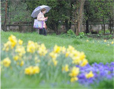 Слънце и дъжд днес, до 19 градуса