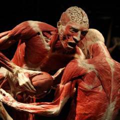 Скандална изложба с трупове идва у нас