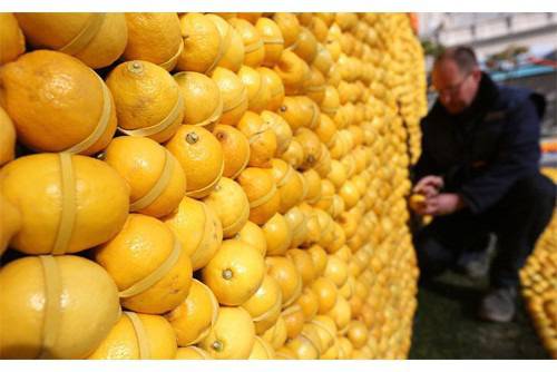 Тибетски лек пречиства кръвоносните съдове