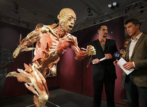 Десетки човешки тела пристигат за уникална изложба у нас