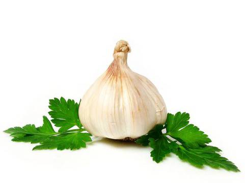 Чесънът е природен антибиотик