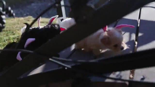 Честит Великден 2013 – Сладки мъничета за Великден