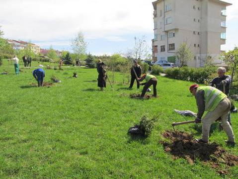 Пловдив се сдоби с нови 20 дръвчета