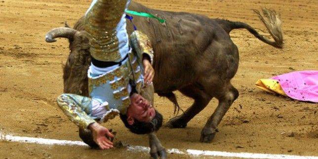 Бик рани испански тореадор