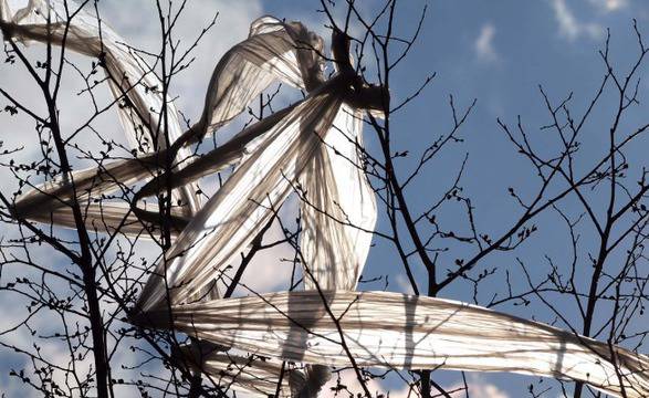 Пункт приема опасни отпадъци в София за Деня на Земята