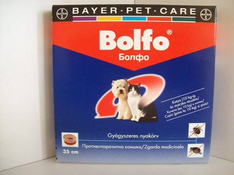 БОЛФО противопаразитна каишка котки