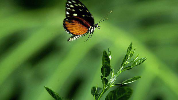 Фотогалерия: 22 април – Международен ден на Земята