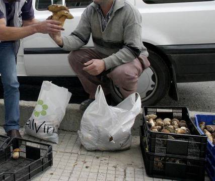 600 000 евро глоба за агенция, набирала българи за бране на гъби в Холандия
