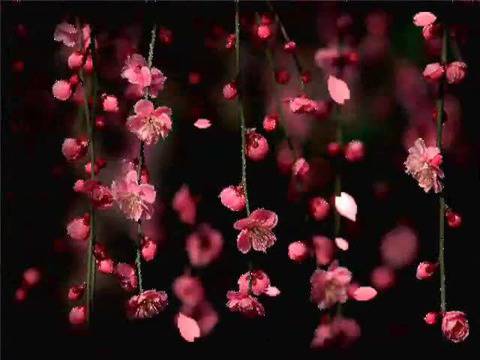 Мелодия от РАЯ!