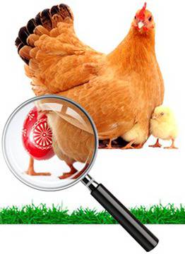 Спечелете кошница с шоколадови великденски лакомства