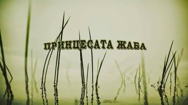 Принцесата Жаба – Музикална Руска народна приказка за деца