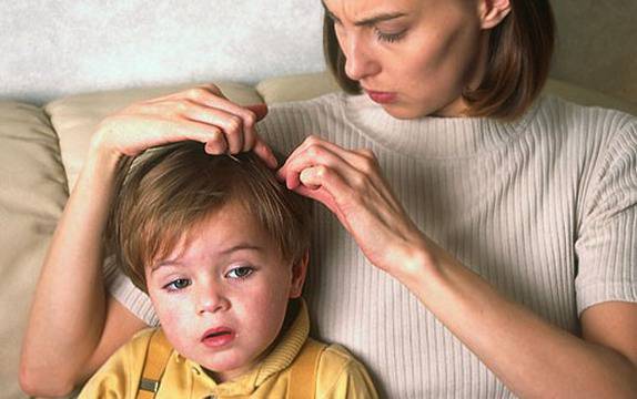 Пак се появиха главови въшки!