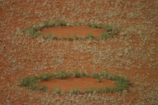 Мистериозните приказни кръгове в Намибия