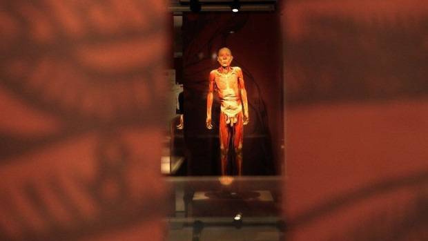 Какво се крие под кожата?